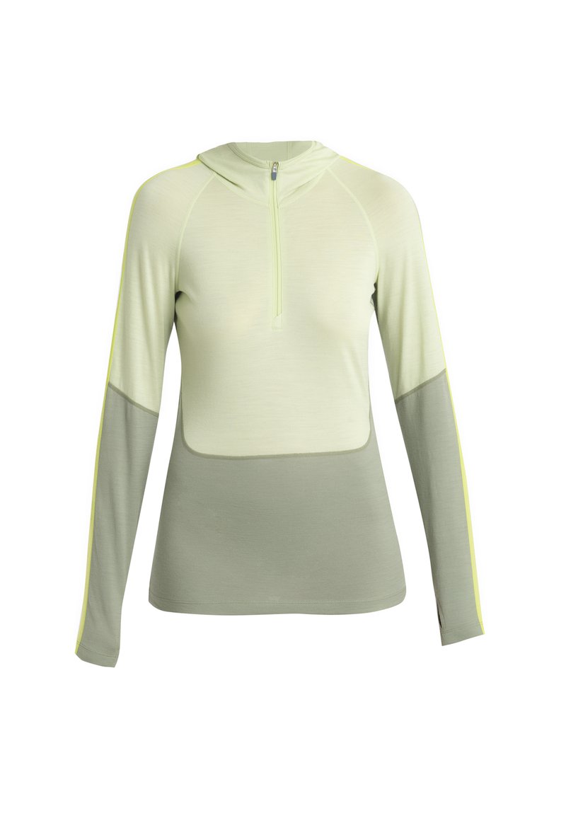 Icebreaker Longsleeve groen
