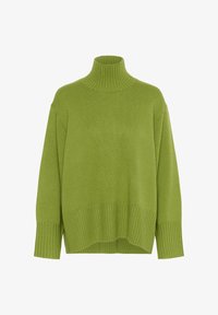 Ej vald, kelp forest