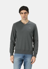 Maglione grigio a maniche lunghe con scollo a V e un piccolo logo sul petto, realizzato in tessuto liscio, con polsini e orlo a coste. Indossato con jeans blu.