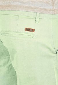 Solid SDTHEMENT - Shorts - green