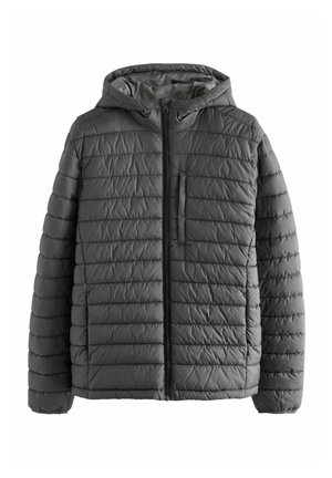 SHOWER RESISTANT WEIGHT REGULAR FIT - Winterjacke - charcoal grey