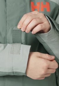 Helly Hansen LEVEL UNISEX - Winterjacke - cactus