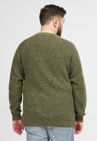 Dunkelgrüner gestrickter Pullover mit strukturierter Oberfläche, Rundhalsausschnitt sowie geripptem Saum und Bündchen, von hinten sichtbar.