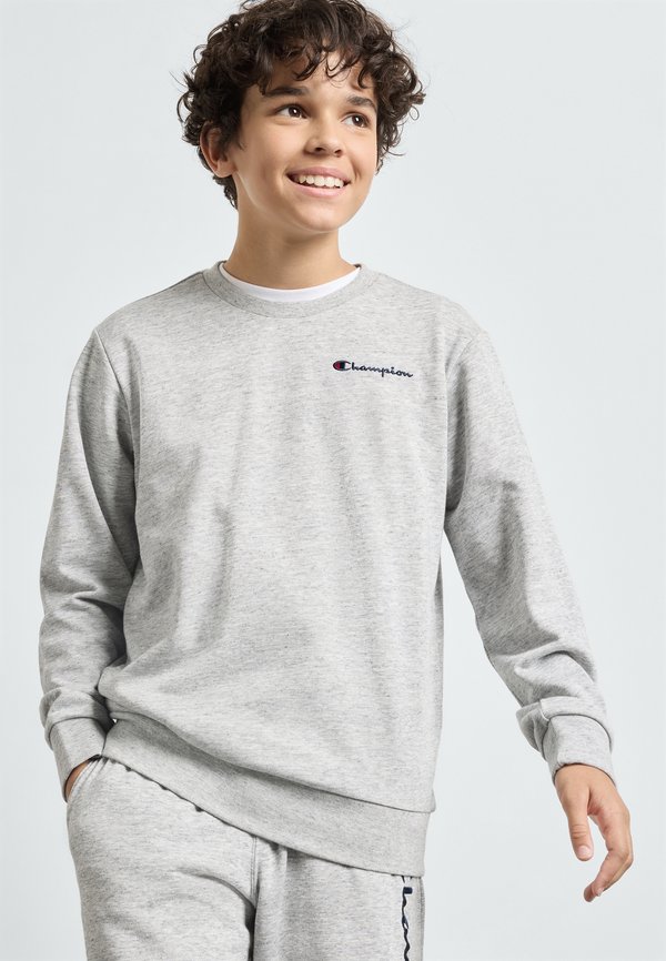 ICONS CREWNECK WITH SMALL LOGO - Sweatshirt