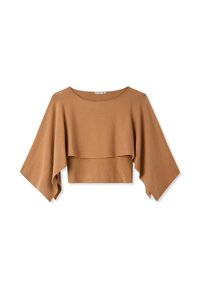 Non selezionato, marrone