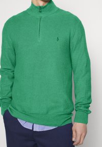 Grön, texturerad tröja med halvlång dragkedja och långa ärmar. Har en liten logotyp på bröstet. Bärs över en blå och vit randig skjorta.