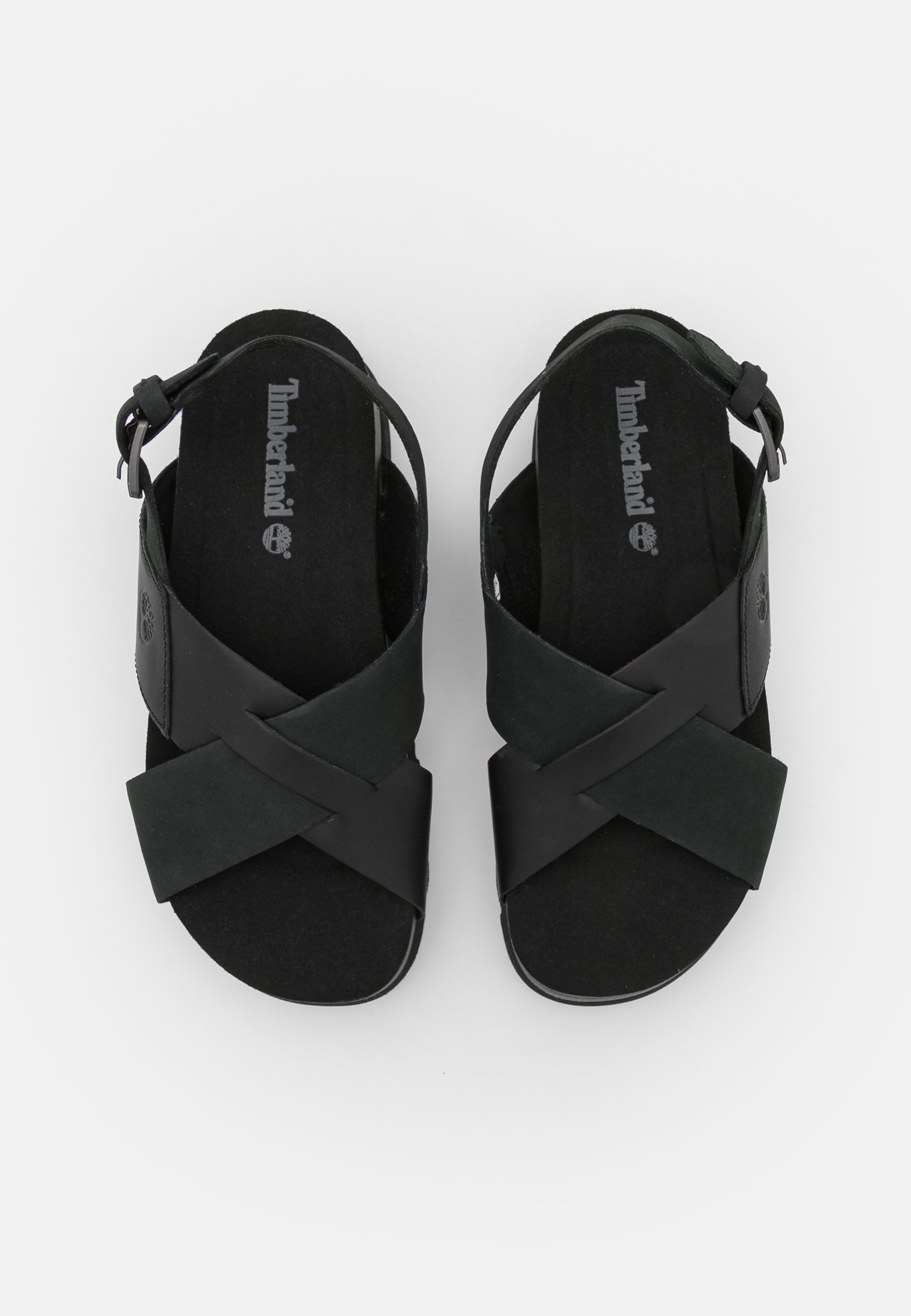 timberland santa monica sunrise