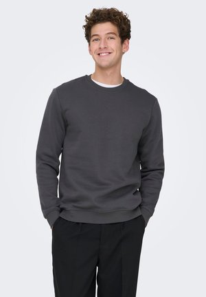 ONSCONNOR LIFE REG CREW NECK NOOS - Felpa - grey pinstripe