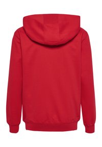 Roter Kapuzenpullover mit glatter Textur, langen Ärmeln und elastischen Bündchen. Die Rückseite hat ein einfaches Design ohne Verzierungen.