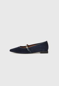 Scarpa piatta in suede blu navy con design a punta, piccolo tacco a blocco e un cinturino con dettaglio in oro. Texture liscia.