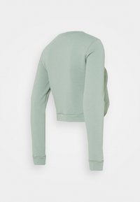 Sweatshirt cropped de mangas longas em verde claro, feito de um tecido suave, com decote redondo e punhos ajustados. Design simples e minimalista.