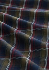 Le tissu à carreaux présente des couleurs bleu, vert et rouge avec des lignes blanches. La texture semble douce et tissée, mettant en avant un motif classique avec des plis.