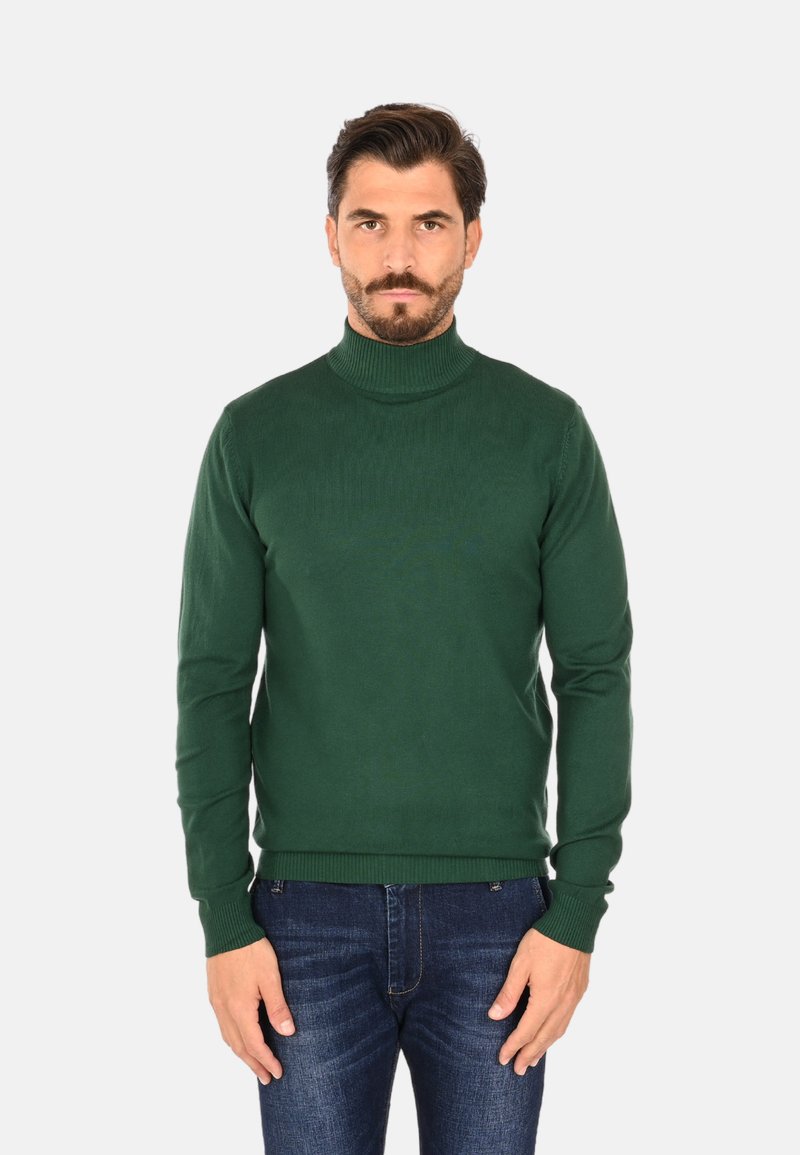 Maglione a collo alto verde in tessuto lavorato a maglia, con maniche lunghe e orlo a coste, abbinato a jeans scuri.
