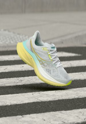 ENDORPHIN SPEED 5 - Maanteejooksu jalatsid - white/tender