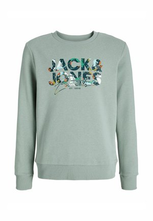 Gaiši zaļš džemperis ar garām piedurknēm, ribotām aprocēm un apakšmalu. Piedāvā multkrāsainu grafisku apdruku ar "JACK & JONES" uz krūtīm.