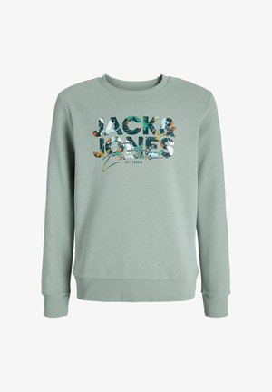 GEPLAS CREW NECK - Bluză de molton - iceberg green