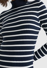 Röyhelöruudullinen kaulusneule, jossa on tummansiniset ja valkoiset vaakaraidat, ribbikuviointi ja istuva muotoilu pitkissä hihoissa.