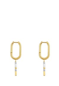 Kolczyki w kolorze złota o wydłużonym owalnym kształcie z wiszącym srebrnym akcentem. Gładka metaliczna faktura, minimalistyczne detale projektu.