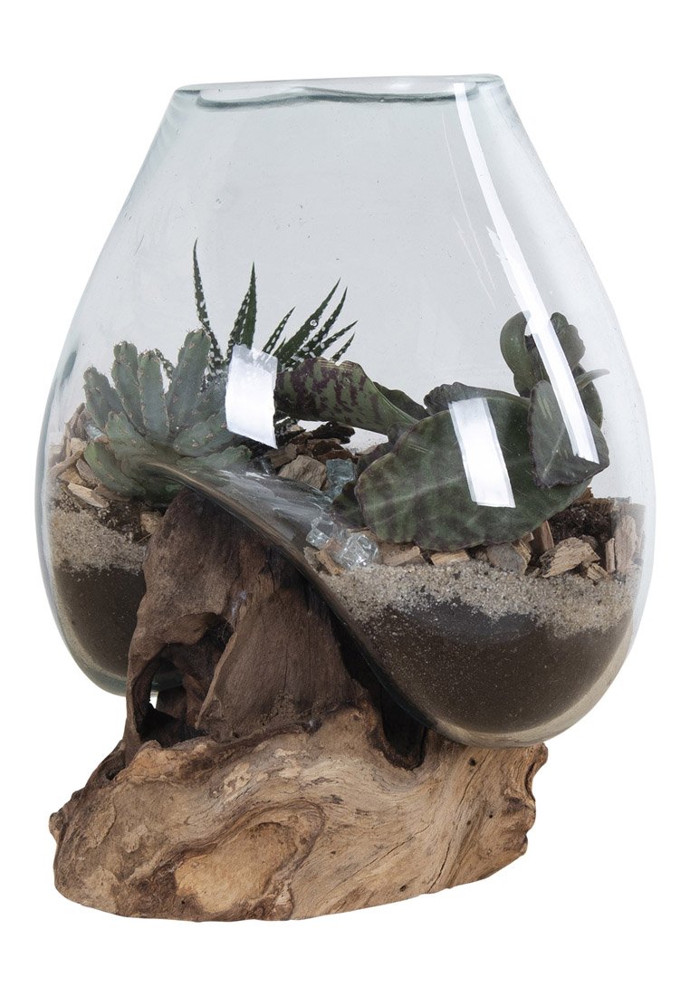 Glazen terrarium met een ronde vorm, met verschillende vetplanten, zand en kleine stenen op een houten basis.