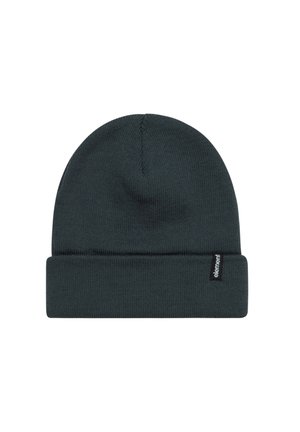 Dark green knit beanie hat with a folded cuff. Features a small black label with white text on the cuff. Soft texture and close-fit design.