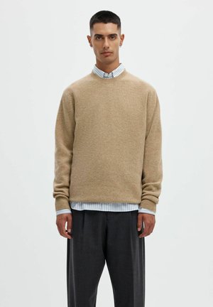 Jeune homme portant un pull beige par-dessus une chemise rayée avec un pantalon sombre, debout devant un fond blanc uni.