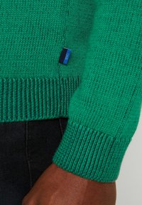 Grüner Strickpullover mit gerippten Bündchen und Saum. Enthält ein blaues Etikett an der Seite, das die glatte Textur und die taillierte Passform zeigt.