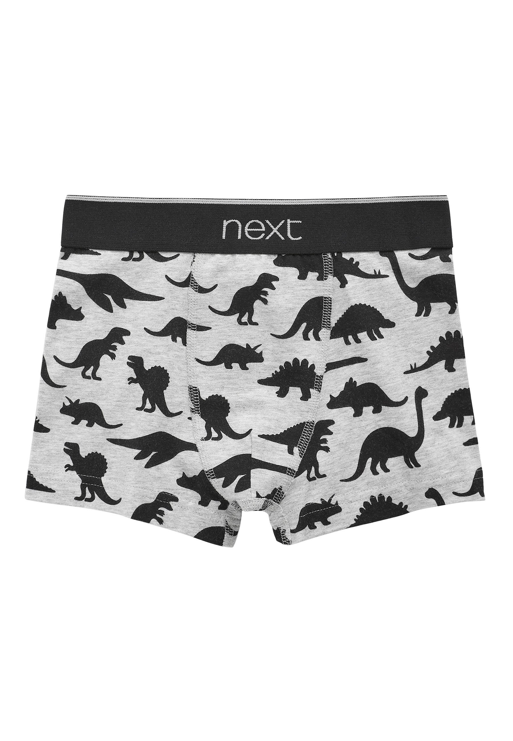 Next BLUE 5 PACK DINO PRINT TRUNKS (2-12YRS) - Onderbroeken - blue/Blauw -  Zalando.nl