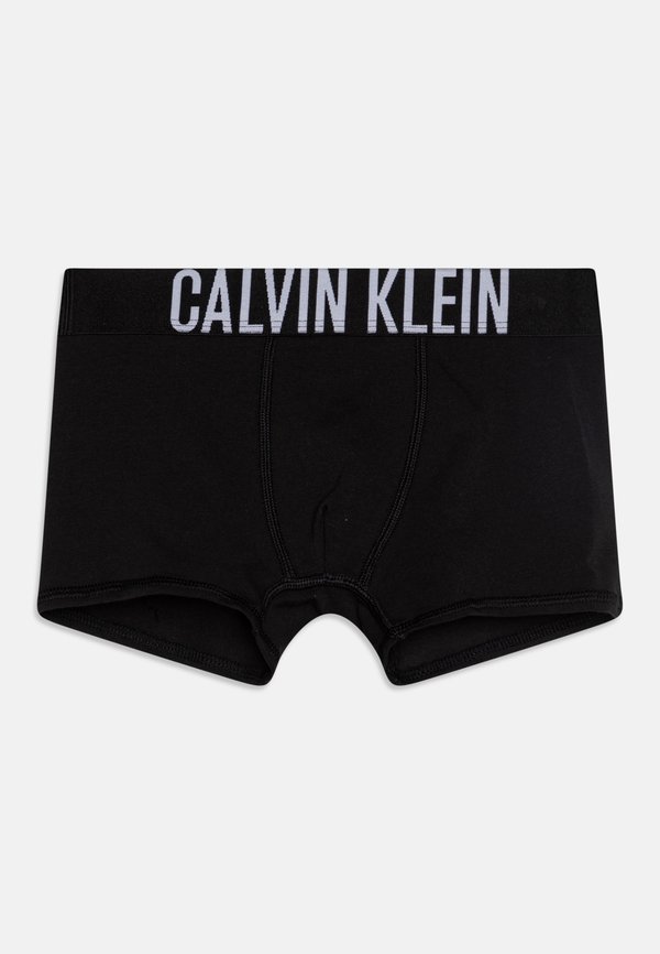 TRUNK 3 PACK  - Pants2