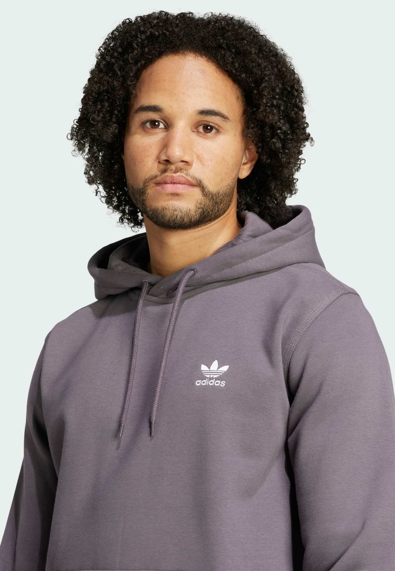 adidas Originals Hoodie grey strata/grey