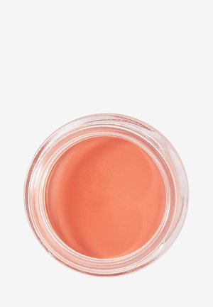 PLANET REVOLUTION THE COLOUR POT - 2-in-1: lip & wang - blushed cherry
