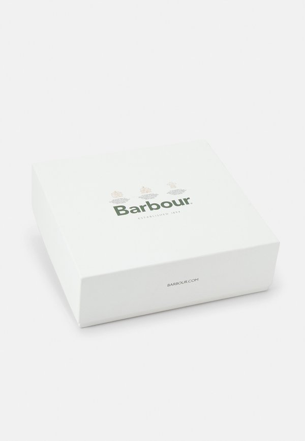 DOVER BEANIE HAILES SCARF GIFT SET - Scarf - classic2