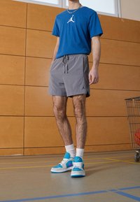 Jordan Träningsshorts - grey