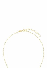 Collana in oro con un design delicato, dotata di chiusura a conchiglia e lunghezza regolabile con un'estensione della catena per personalizzazione.