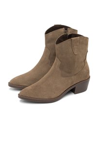 Brown suede ankle boots with a pointed toe, decorative stitching, and a low stacked heel. Features side cut-out accents.