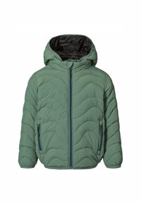 Molo HAO - Giacca invernale - mist green