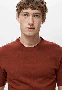 Pulover cu maneci scurte și guler rotund, de culoare ruginie intensă, realizat dintr-un material tricotat texturat. Are un guler rib knit fin și o croială ajustată.