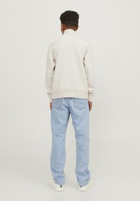 Jack & Jones Junior JORVESTERBRO QUARTER ZIP - Felpa - moonbeam
