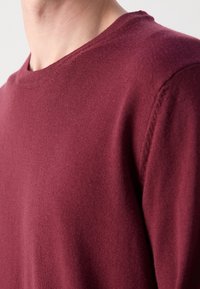 Burgunderfarbener Pullover mit Rundhalsausschnitt. Hergestellt aus weichem Strickstoff, mit einer glatten Textur und subtilen Stickdetails an den Schultern.
