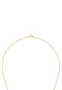 Collana in catena placcata oro con un design sottile e delicato. Presenta una chiusura a gancio e una superficie liscia e lucida.