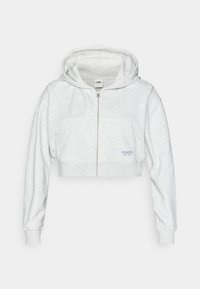 ESSENCE CROPPED HOODIE  - Majica s kapuljačom i patentnim zatvaračem - light grey melange