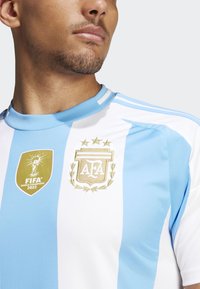 Argentinas landslagströja med blå och vita ränder, rund krage och broderad emblem med guldaccenter och FIFA-logotyp.