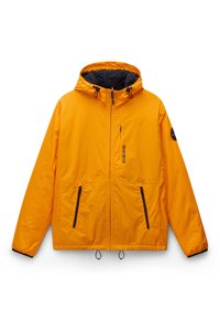 Unselected, orange marigold