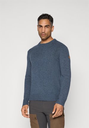 Homme portant un pull bleu à col rond et un pantalon bicolore marron et gris, se tenant devant un fond gris clair uni.