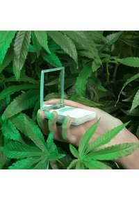 Miroir rectangulaire compact en plastique transparent avec une base blanche, tenu dans une main au milieu de plantes feuillues vertes.