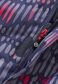 Color Kids ALL OVER PRINT - Skijacke - graystone