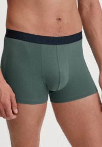 Donkergroene boxershorts gemaakt van zachte, rekbare stof. Voorzien van een marineblauwe tailleband met "CALIDA"-branding. Aansluitend ontwerp met platte naden.