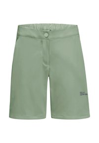 ALPINE - Outdoorshorts - eucalyptus