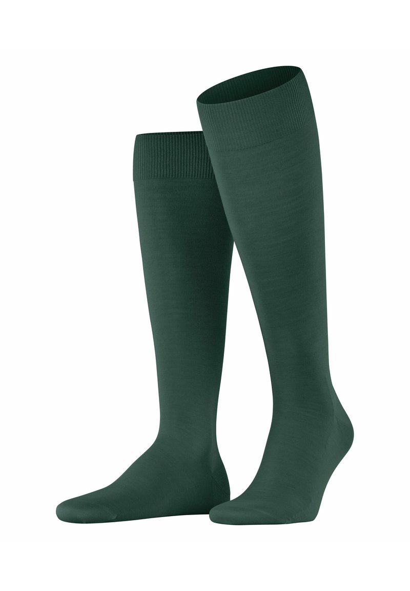 FALKE CLIMAWOOL - Calzettoni - hunter green