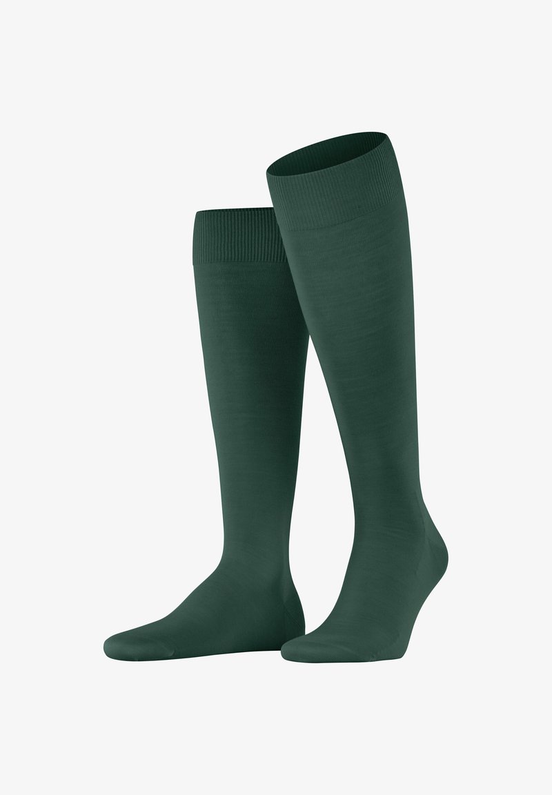 FALKE CLIMAWOOL - Calzettoni - hunter green
