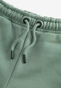Next UTILITY STYLE - REGULAR FIT - Tepláky - sage green